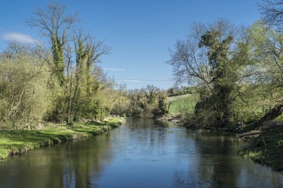 Chalk streams like ours are rare and need looking after avon.jpg